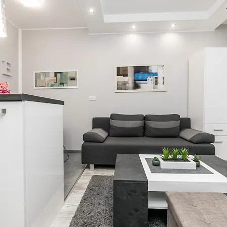 Apartament Gray Luxe
